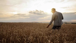 Le moral des agriculteurs n'est pas au beau fixe