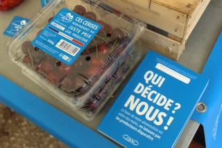 C’est qui le patron ?! va commercialiser des fruits et légumes français