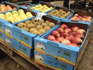 Une Fête de la pomme réinventée pour le 11 novembre