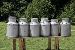 La collecte de lait recule en avril
