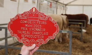 Palmarès des concours de reproducteurs bovins