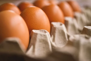 L’œuf, produit populaire et ingrédient à tout faire