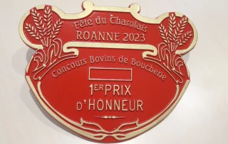 Palmarès des bovins de boucherie