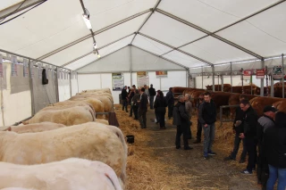 Des reproducteurs certifiés
