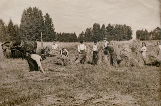 Dans la Loire, le cheval n’était pas une évidence
