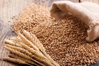 Le climat fait flamber les prix des grains
