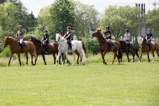 Le Conseil de la filière cheval, qu’est-ce que c’est ?