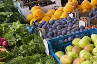 Accompagner les agriculteurs dans leur projet de circuit court