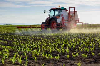 Légère baisse des usages de pesticides en 2023