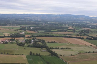 Terres agricoles : un marché en léger repli
