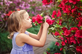 Rendez-vous dans les jardins de la Loire ce week-end 