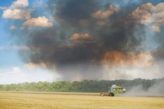 Ces conflits qui anéantissent l’agriculture