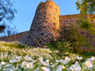 Au Pic, histoire, culture et panoramas à couper le souffle !