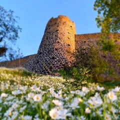 Au Pic, histoire, culture et panoramas à couper le souffle !