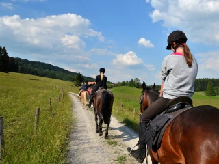 En selle pour des souvenirs inoubliables !