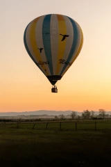 Prenez de la hauteur avec Forez Montgolfière