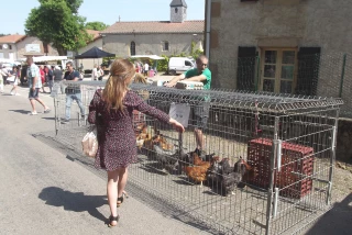 L'info locale du 9 juin 2023